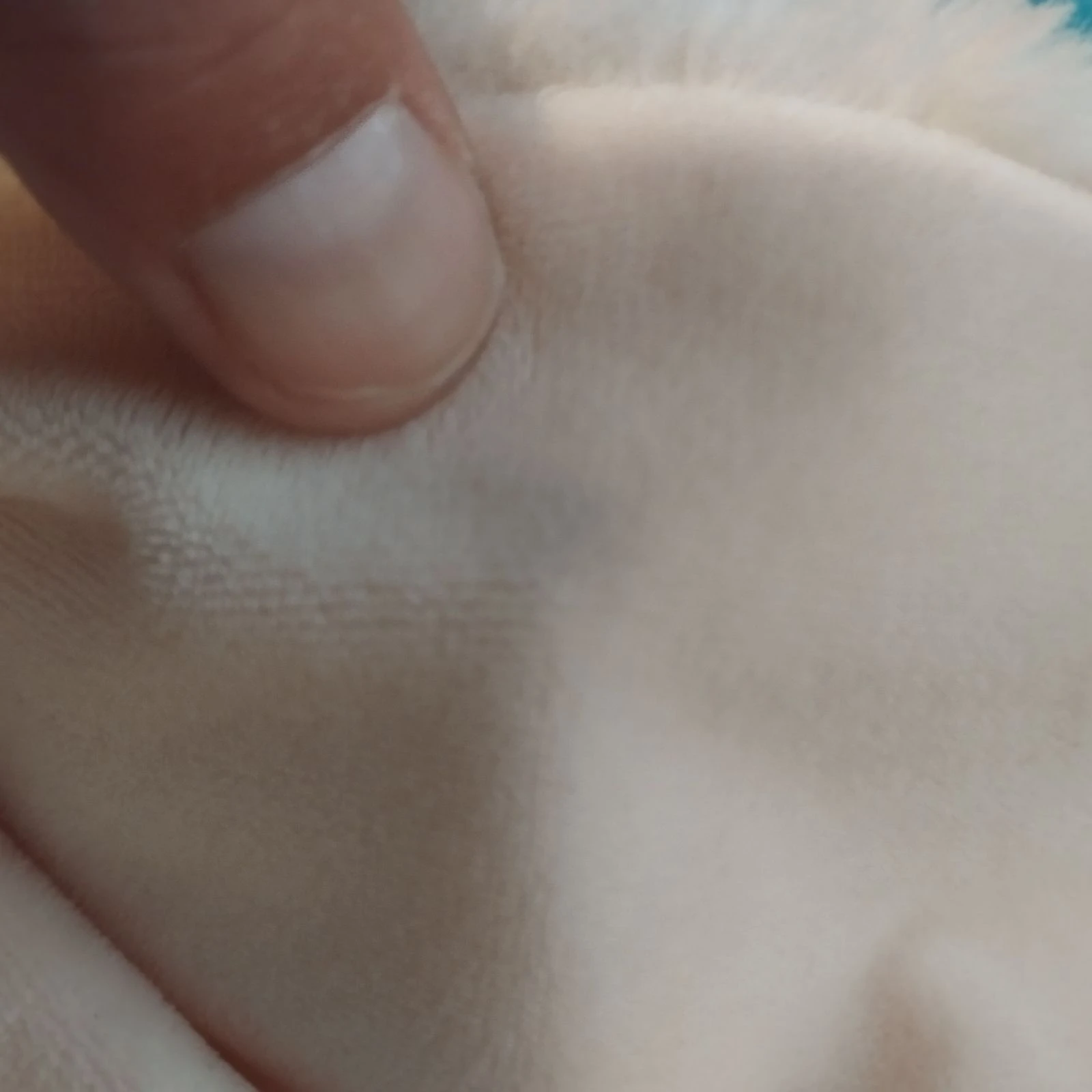 Peluche coelho em bom estado apenas mancha na orelha e manchas na cauda 4.80 – photo 2